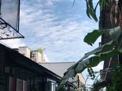 -大王油茶(二厂文创公园店)