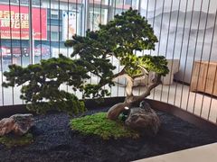 -固元堂(摩方分院)