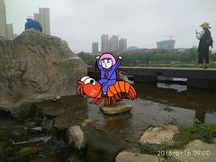 -前关湿地公园