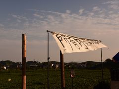 -龙坞茶村