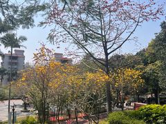 -炮台山公园