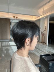 -C-18 SALON