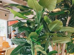 -窦四牛杂面(总店)