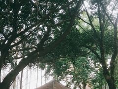 -金山公园