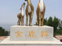 iphone_upload_pic-大鹿岛