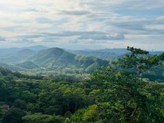 -黄埔油麻山森林公园