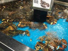 -盒马鲜生(岭南新世界店)