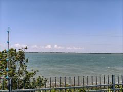 -江滩湿地公园