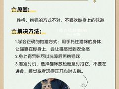 -翊宠yipet猫狗购宠庄园犬舍•猫舍