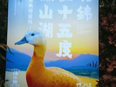 -辣小妮de川菜馆(红旗Mall店)