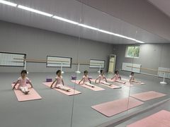 -蒲公英舞蹈艺术中心(促进路校区)