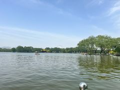-石家庄市植物园