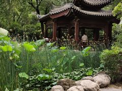 -莲湖公园