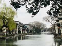 -野荸荠