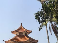 -东郊椰林