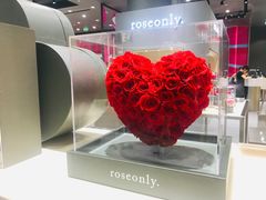 -ROSEONLY诺誓(青岛万象城店)
