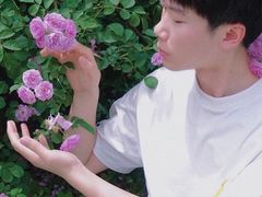 -天鹅湖体育公园