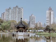 -和平公园