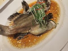 -稻香酒家·34年老字号·港式粤菜(侨光店)