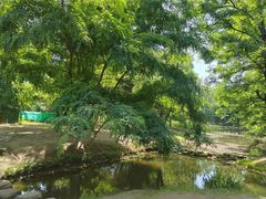 -长白岛森林公园