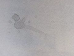 -上海凯宾斯基大酒店
