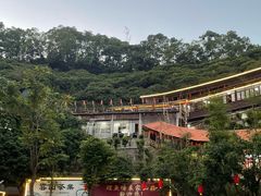 -鲤鱼塘农家山庄