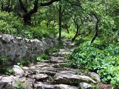 -阳台山自然风景区