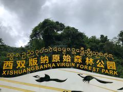 -西双版纳原始森林公园