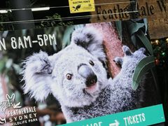 -费瑟代尔野生动物园