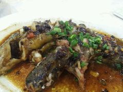 豉汁整黄骨鱼-风味酒家(商业大道店)