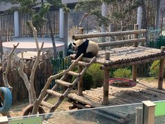 -大连森林动物园