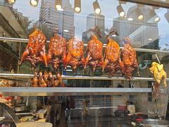 -金尊宝美食坊(蔡屋围店)