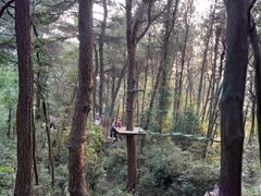 -芦仙山景区-飞越丛林探险乐园