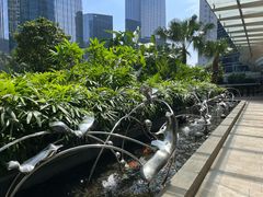 -威克健身游泳(万菱汇店)