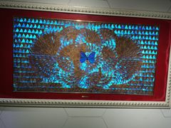 -上海昆虫博物馆