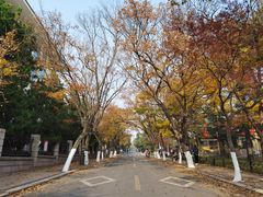 -八大关景区