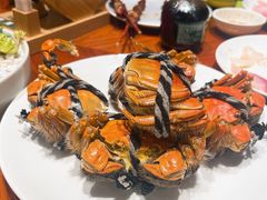 -航迹厨房 Merchant Kitchen(上海鲁能JW万豪侯爵酒店)