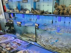 -日照大牌檔•小船海鲜(万平口店)