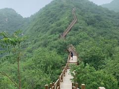 -大岭沟猕猴桃谷风景区
