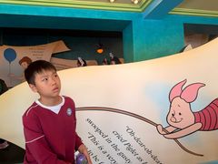 -小熊维尼历险之旅