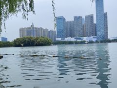 -天鹅湖体育公园