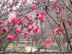 -山东大学(趵突泉校区)
