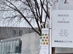 -辰熙ACX星海艺术中心