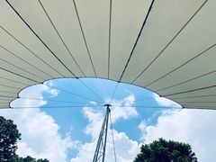 -新加坡飞禽公园