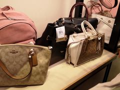 -COACH蔻驰(双安商场店)
