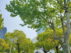 -麦当劳(无锡永乐店)