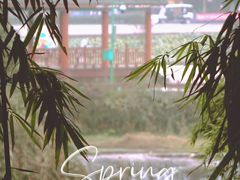 -蜀南竹海景区