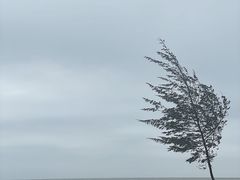 -白沙门生态公园