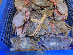 -三个渔夫·蒸汽海鲜(小白楼店)