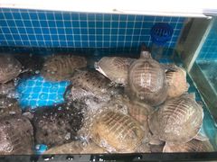水产区-元银甲·湖北地标美食(汉阳店)